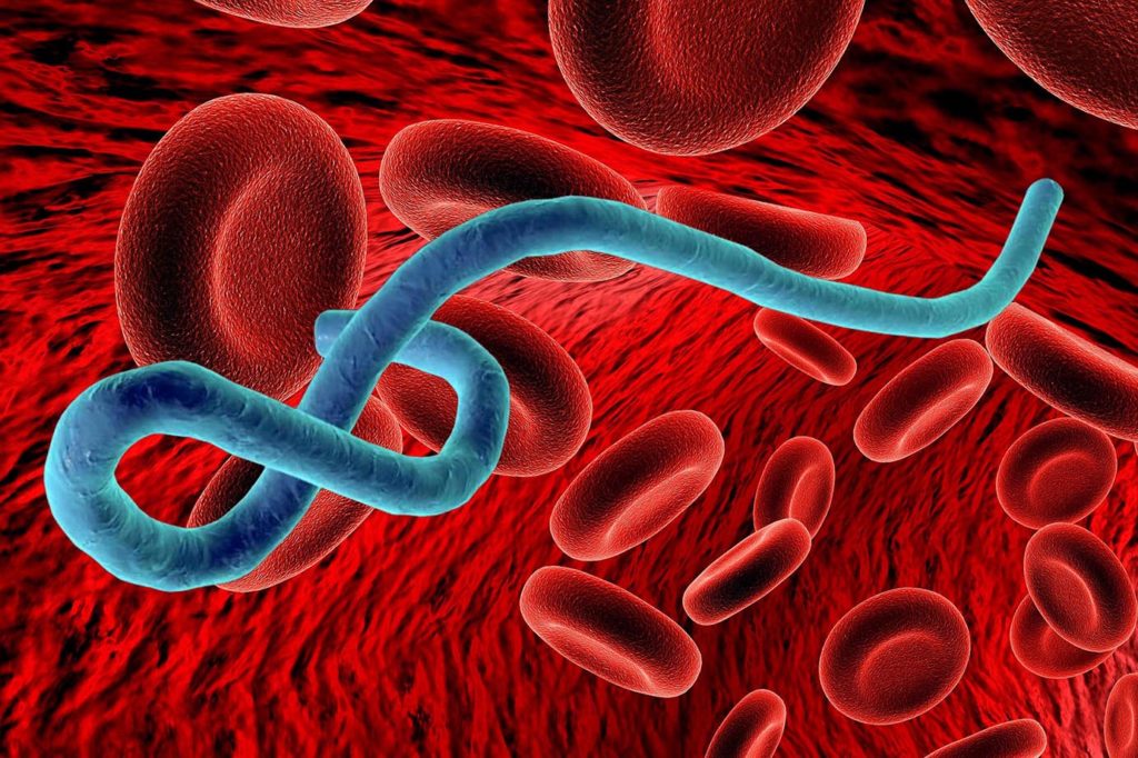 Emofilia e infezioni virali Haemosafety
