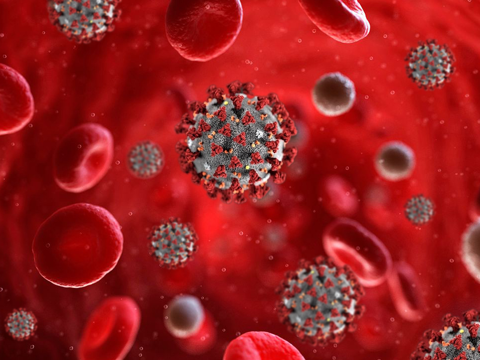 Proteina 'termometro' della microangiopatia trombotica, può predire la mortalità nei pazienti affetti da Covid-19